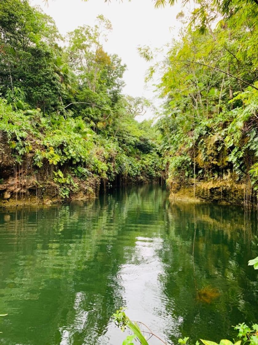 Place Cenote La Orquídea