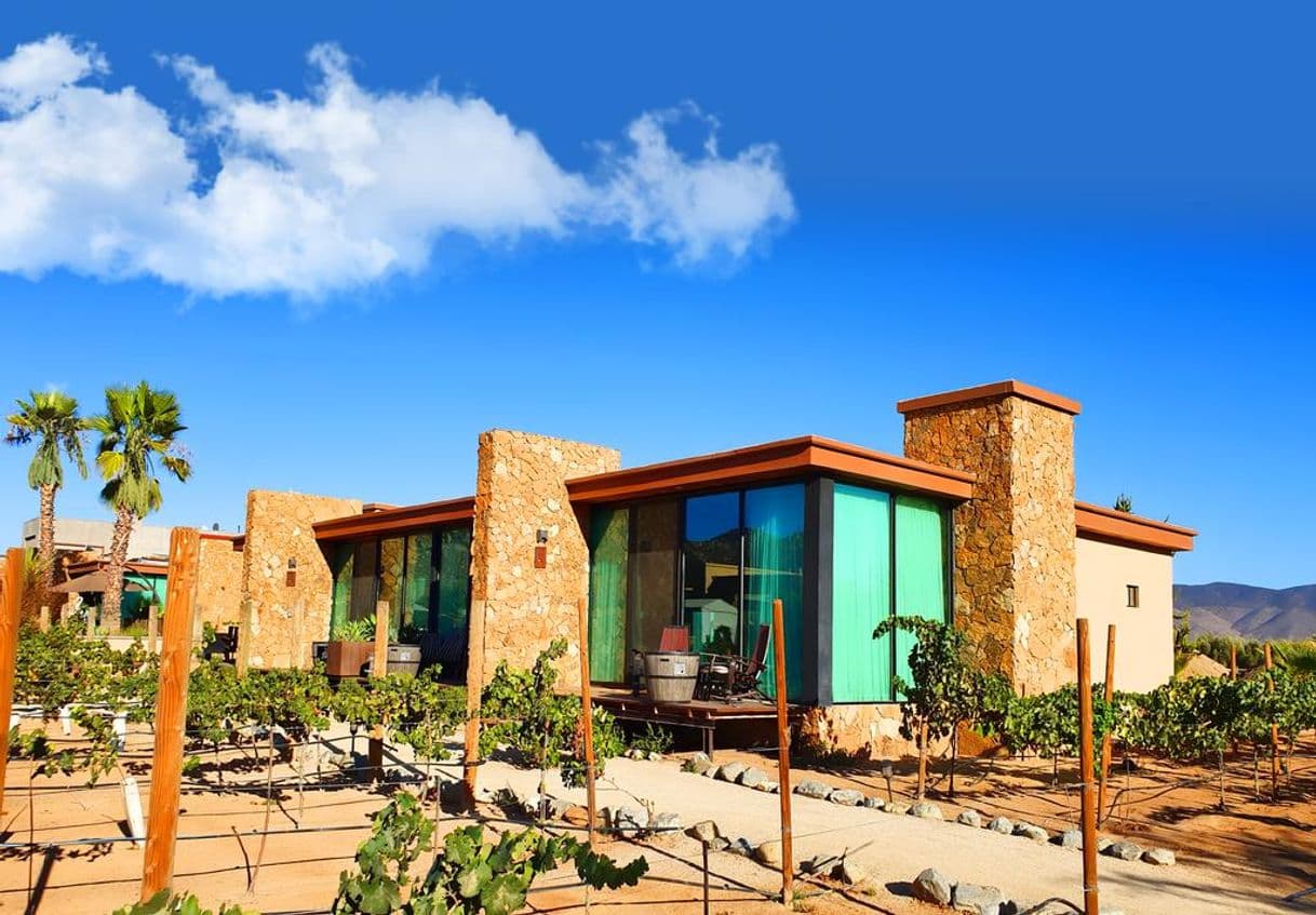 Lugar Valle de Guadalupe