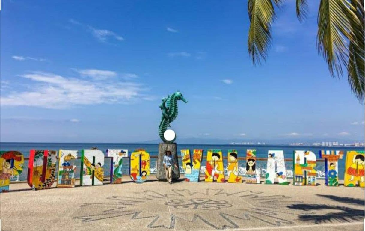 Place Puerto Vallarta