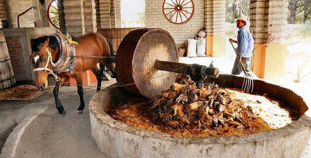 Lugar fabrica de mezcal