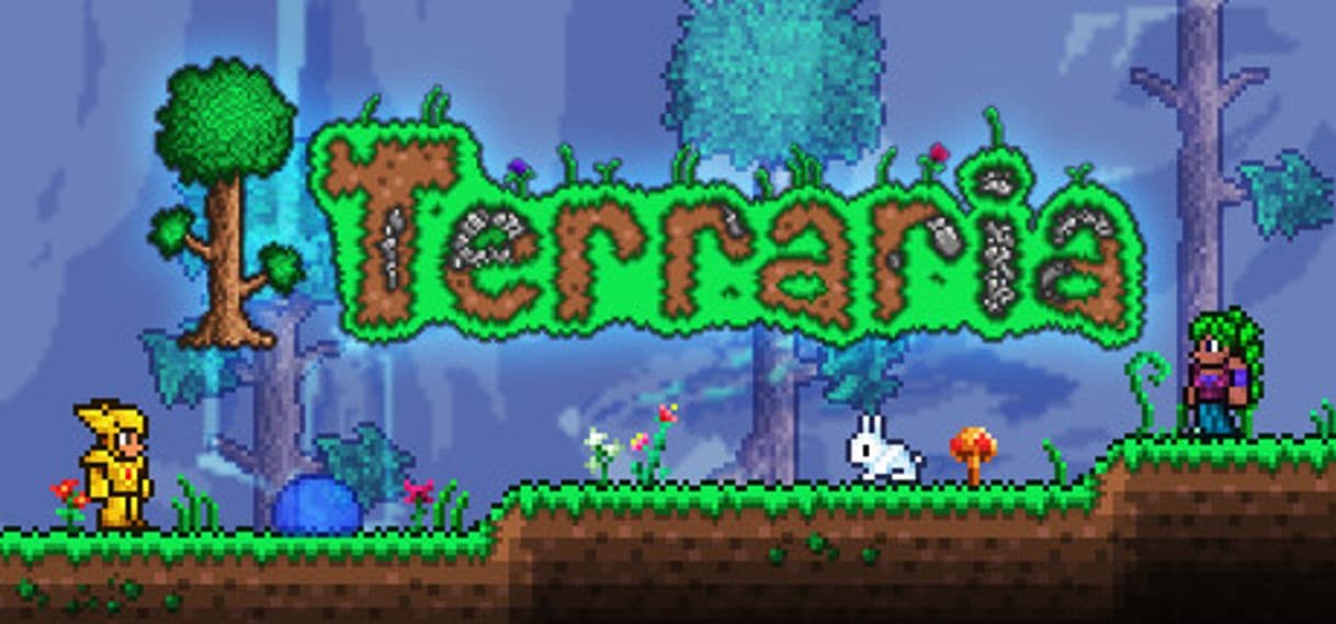 Videogames Terraria