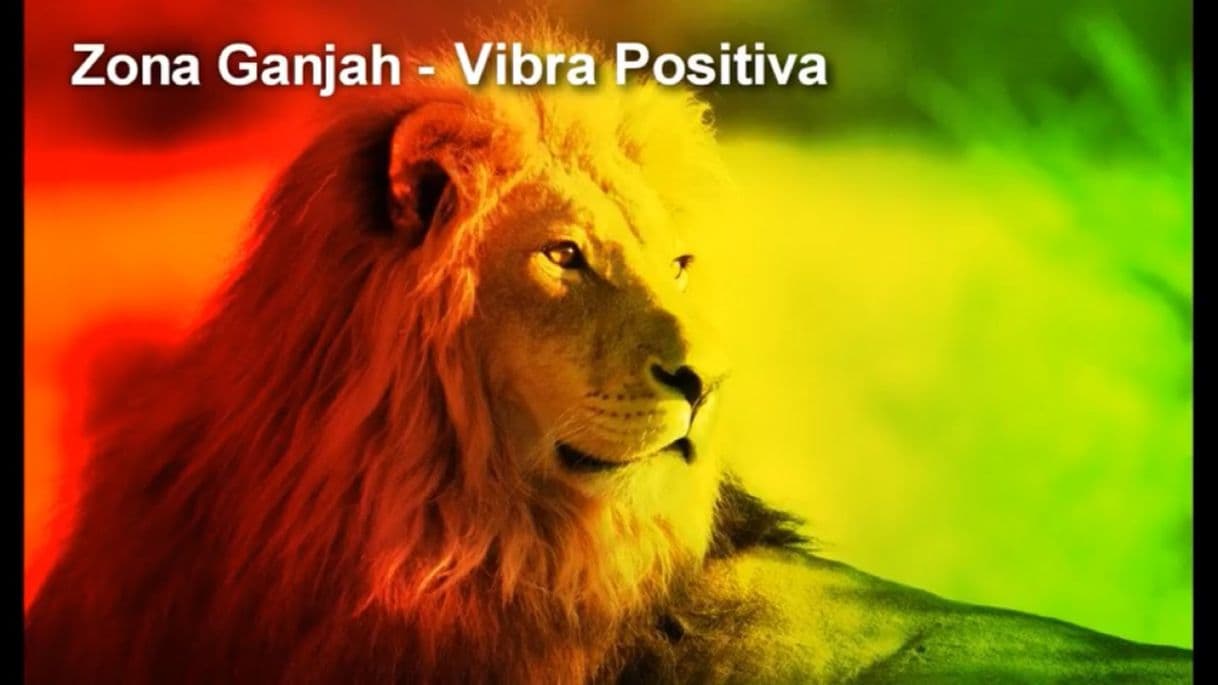 Canción Vibra Positiva