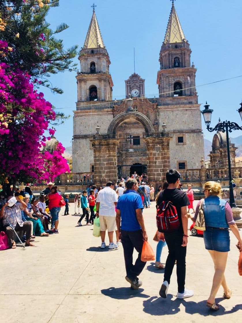 Place Talpa de Allende Square