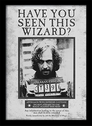 Fashion Harry Potter - Poster 3D Potter / Sirius, Negro, 10 x 8 x 1.3 cm ...