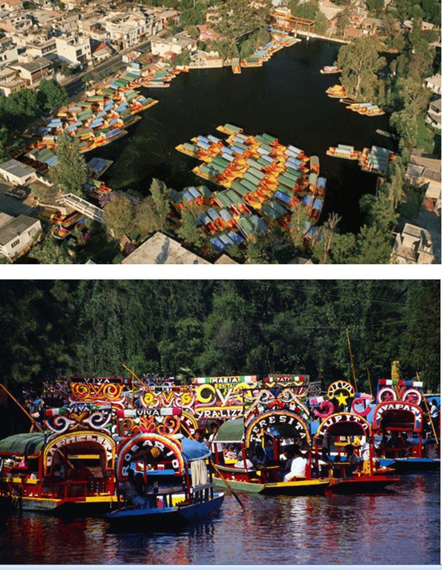 Place Xochimilco Tours Trajineras​​​​​​​