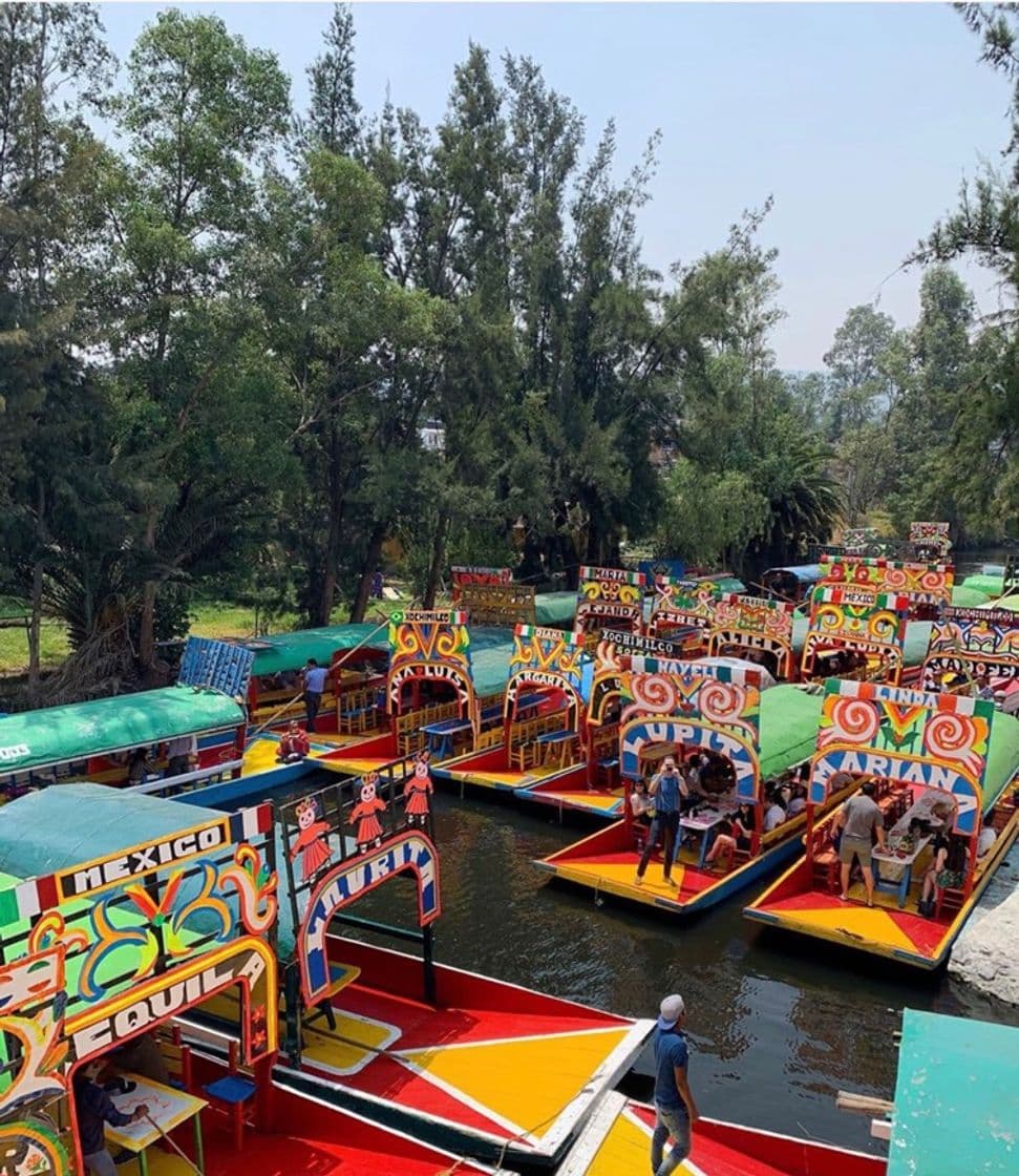 Lugar Trajineras Xochimilco CDMX (Embarcadero Las Flores Nativitas)