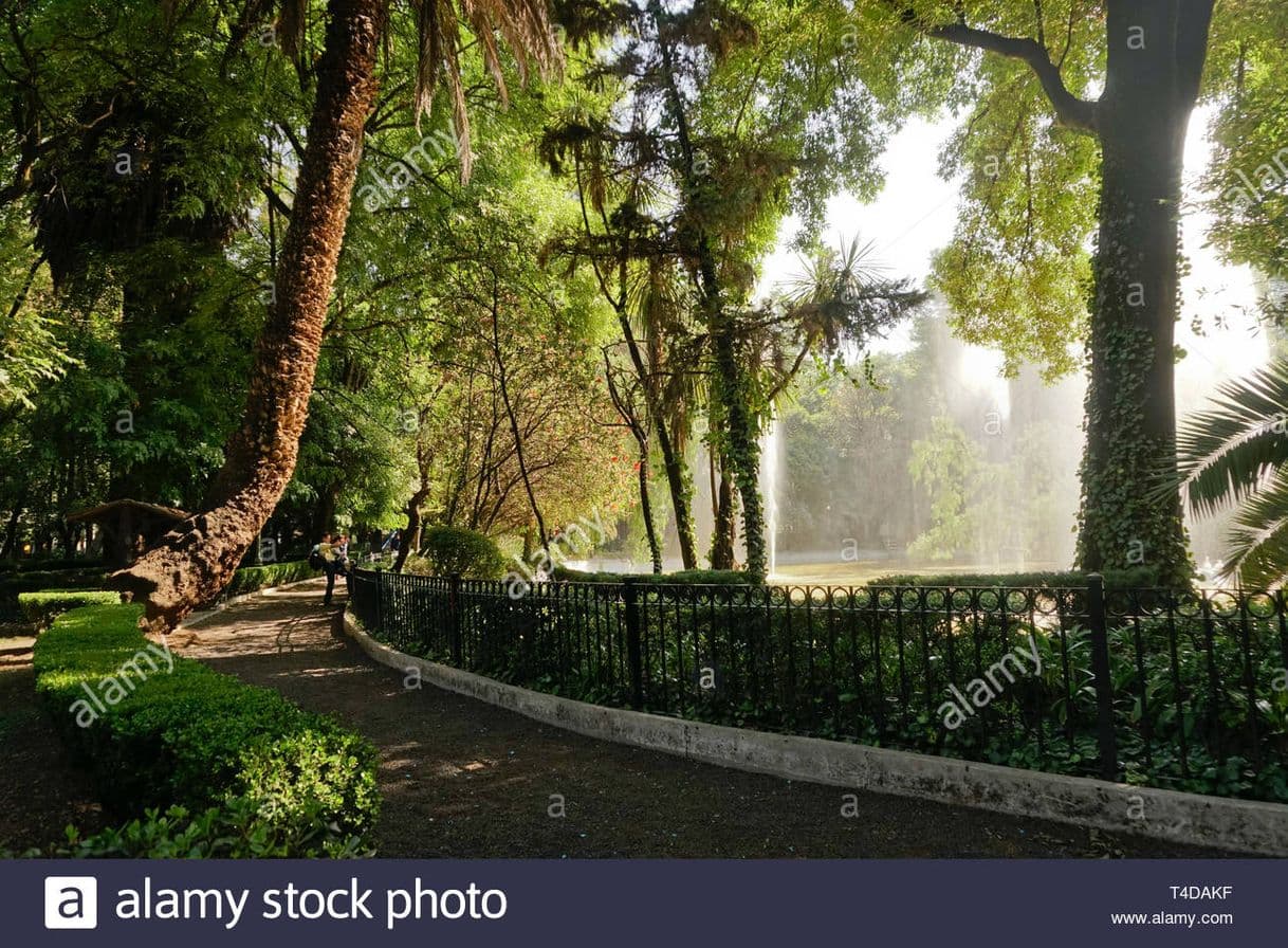 Place Parque México