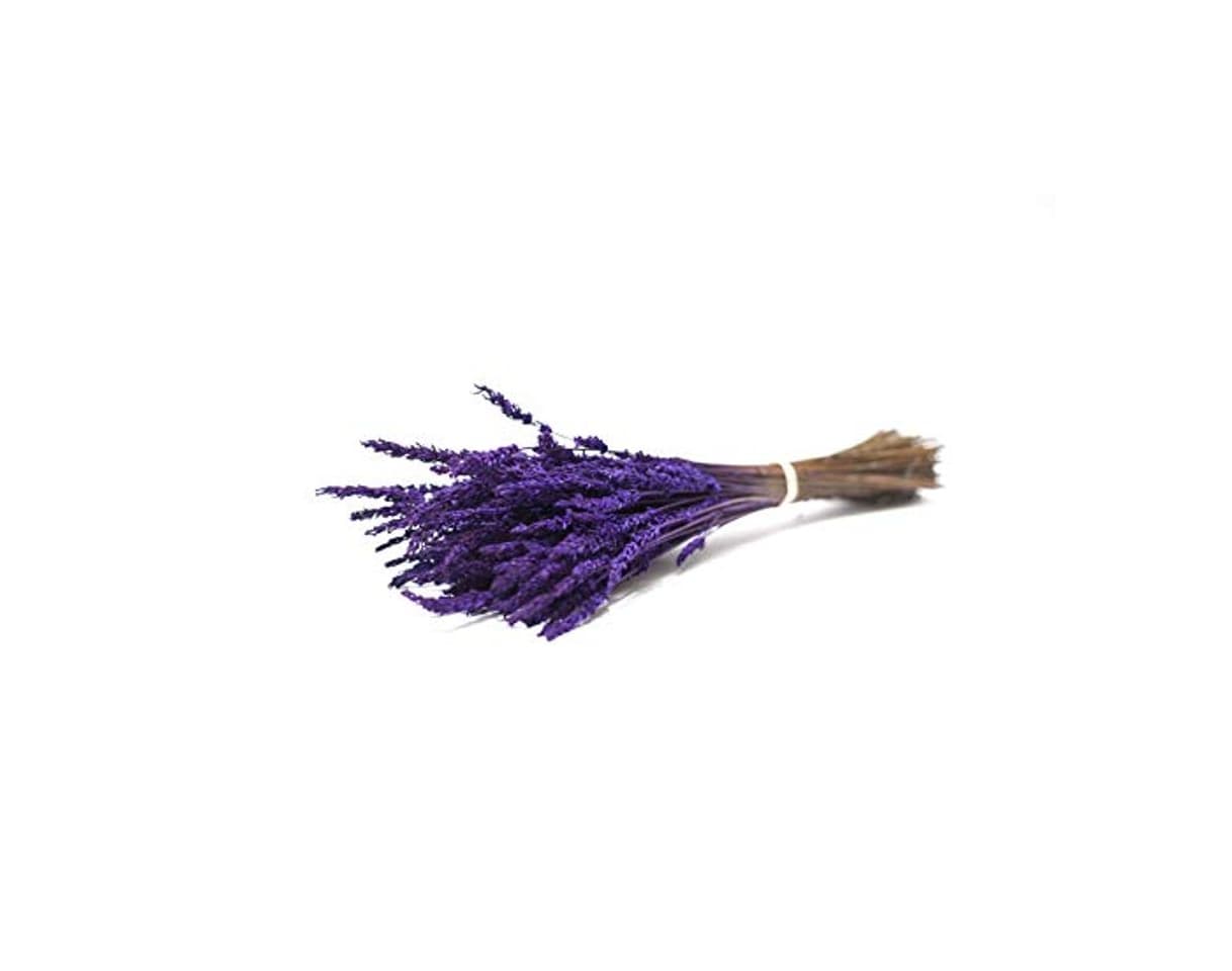 Producto Ramo de Lavanda preservada