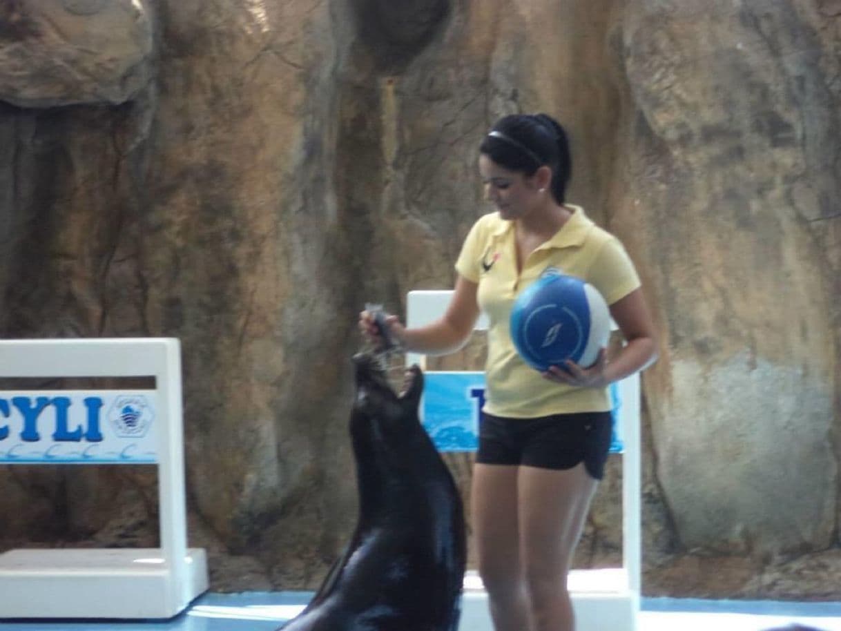 Lugar Acuario Mazatlán