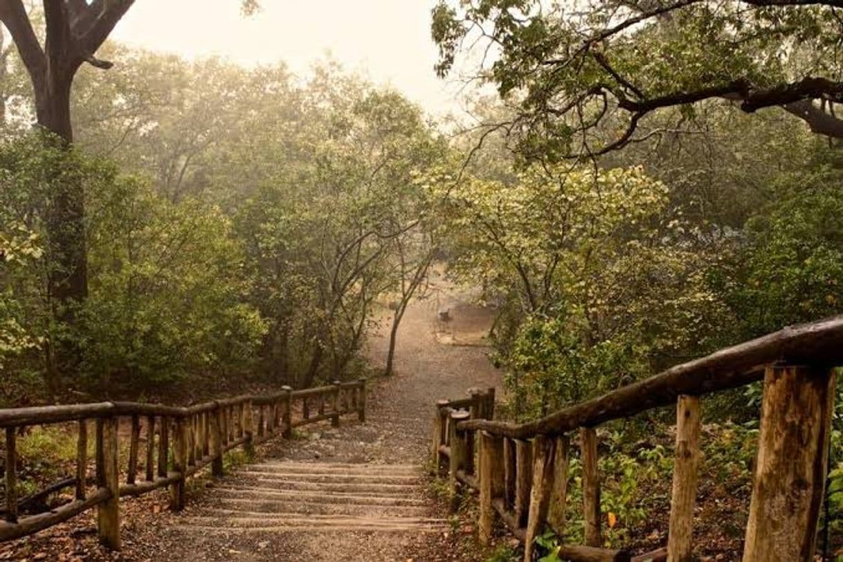 Place Cerro de Chipinque