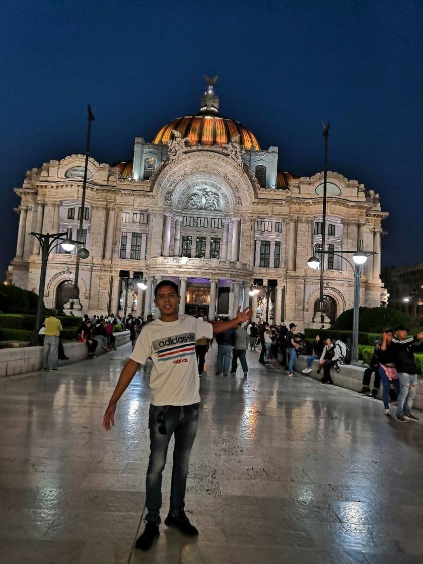 Place Palacio de Bellas Artes