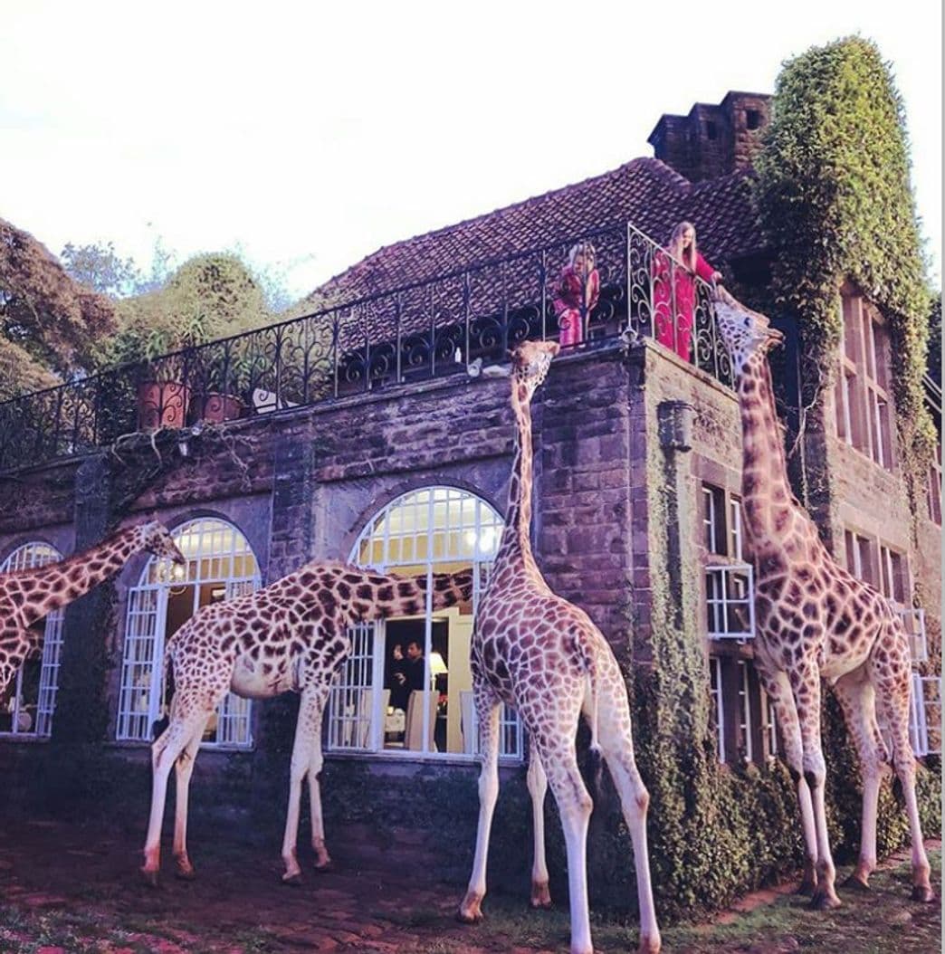 Place Giraffe Manor