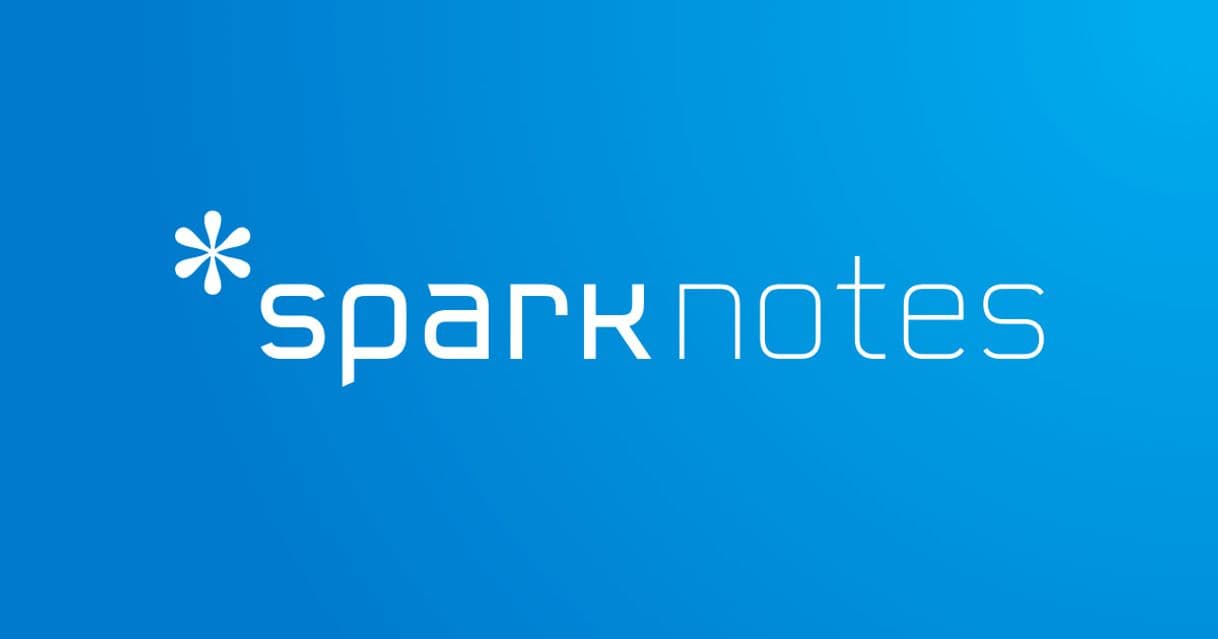 Fashion Spark notes