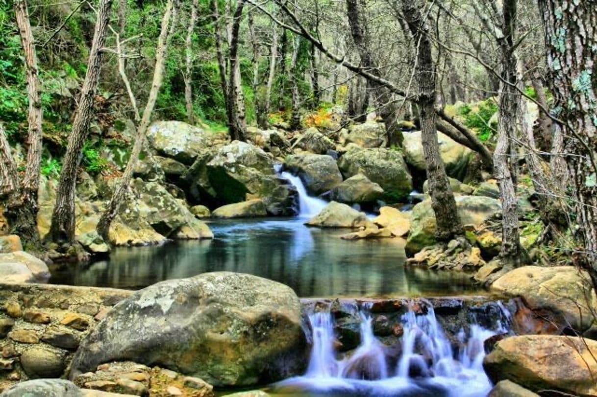 Lugar Sendero Rio De La Miel