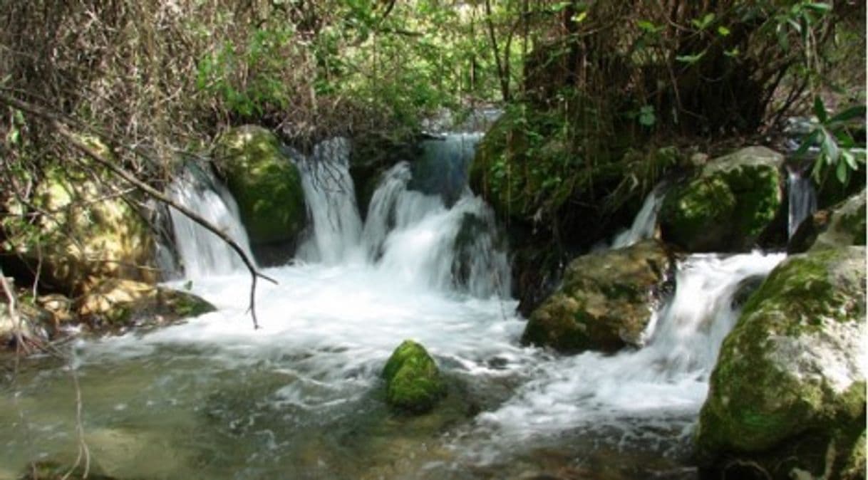 Lugar Sendero Río Majaceite