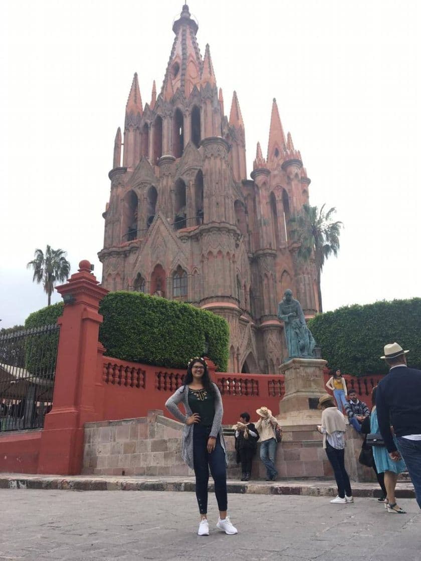 Place San Miguel de Allende