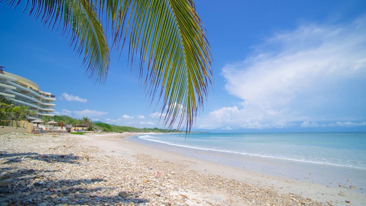 Lugar Playa Punta de Mita