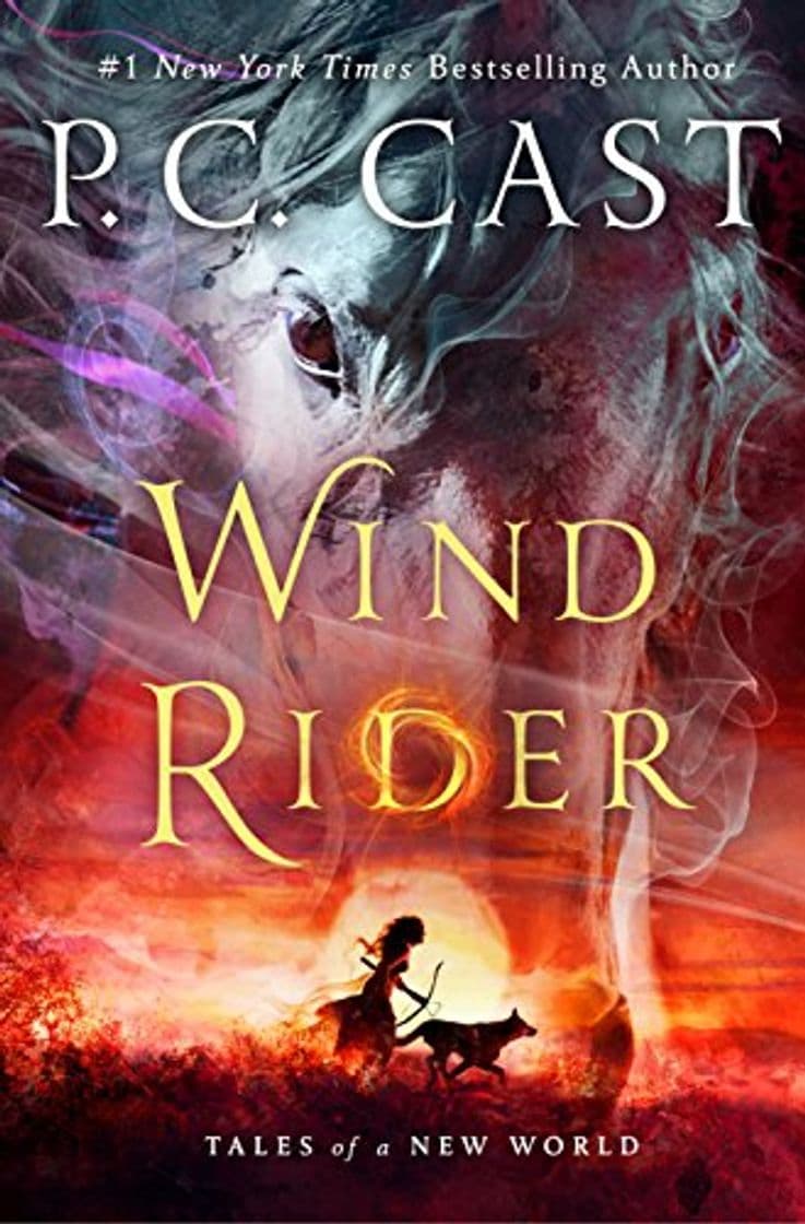 Book Wind Rider