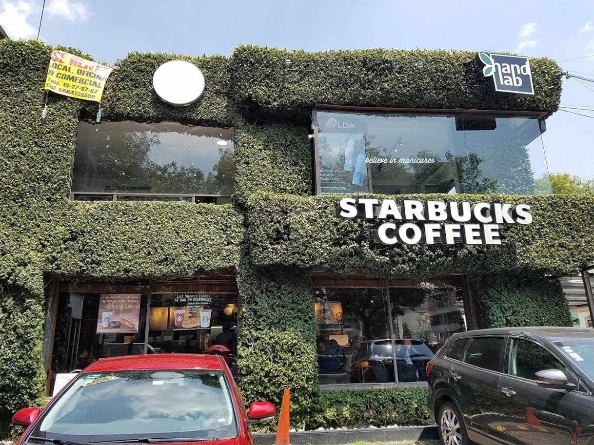 Restaurants Starbucks