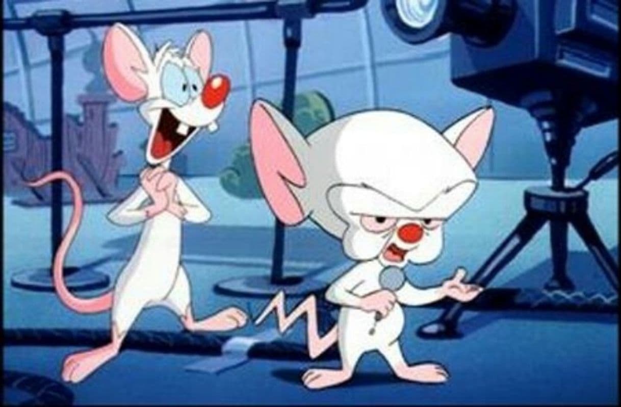 Fashion Pinky y Cerebro 🐀🐁💗