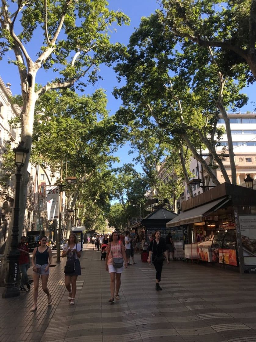 Place La Rambla