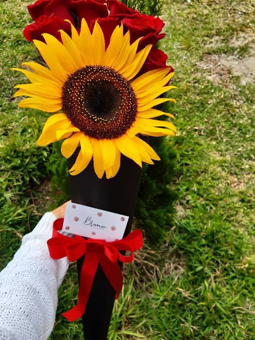 Moda Arreglo de rosas rojas y un girasol 🌹🌻