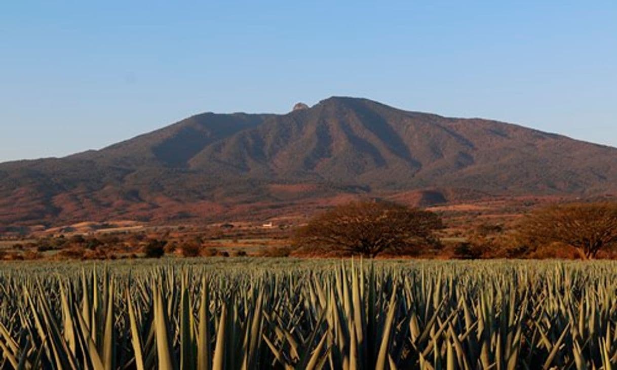 Lugar Volcán de Tequila