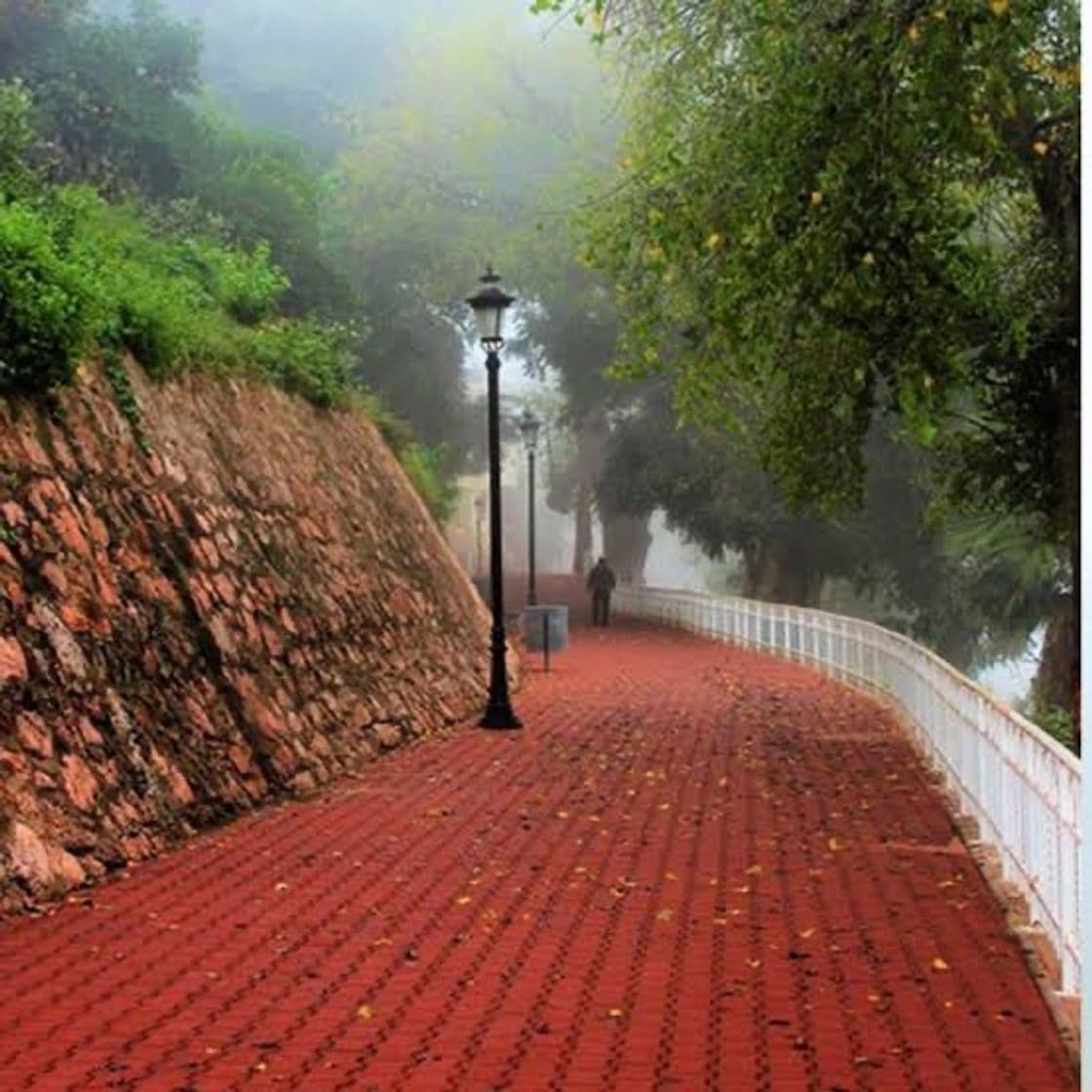 Lugar Malecón del Río Fuerte