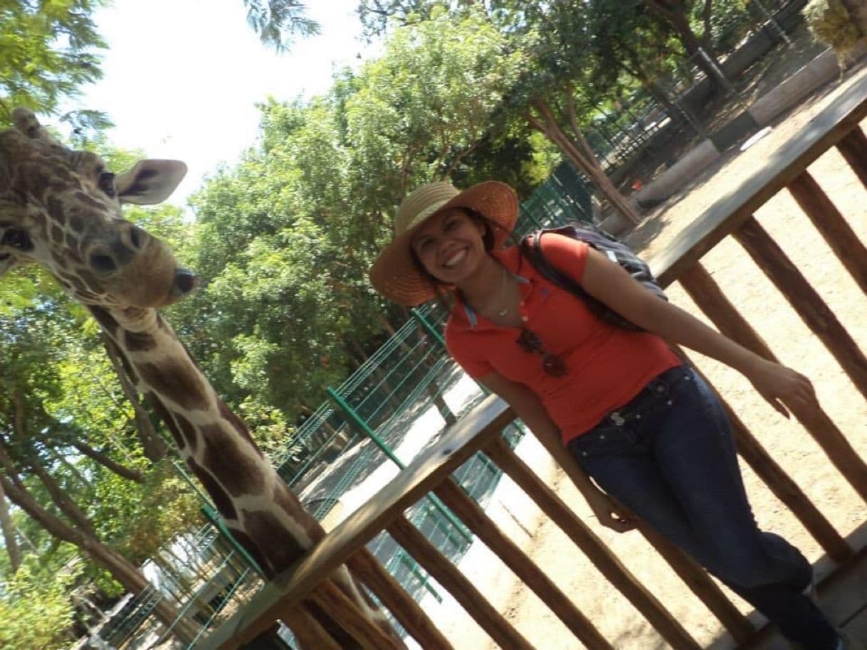 Place Zoológico de Culiacán