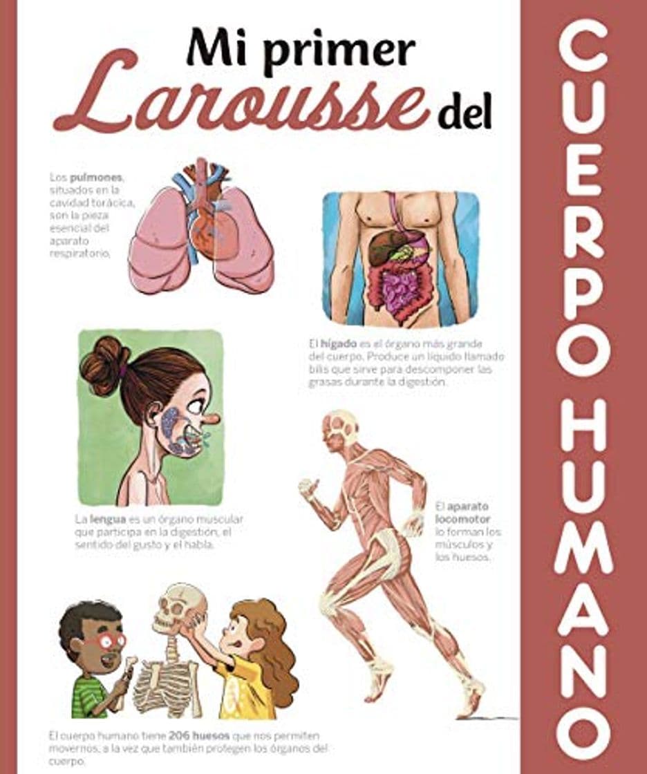 Libro Mi primer Larousse del cuerpo humano