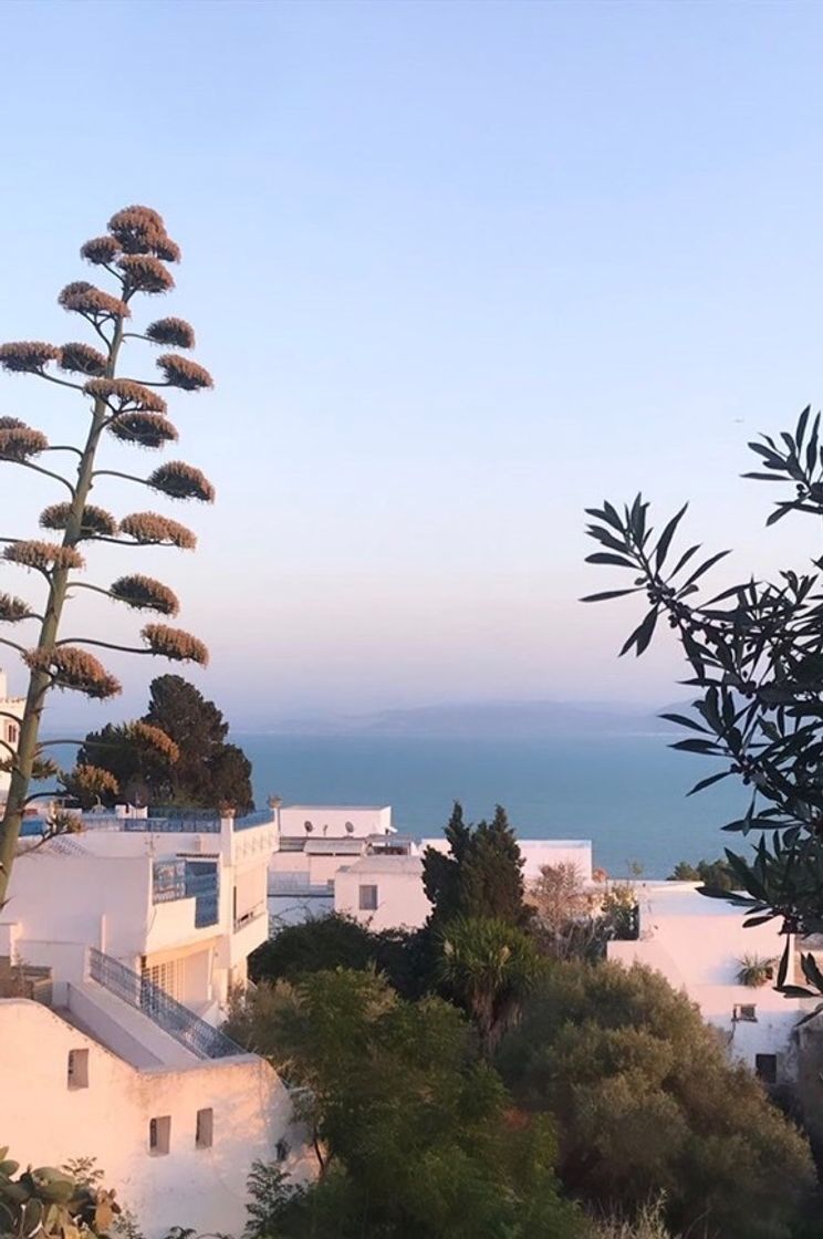 Place Sidi Bou Said