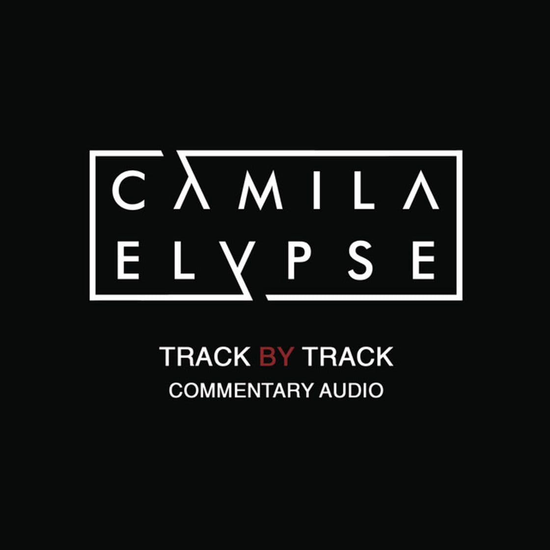 Canción La Vida Entera - Track by Track Commentary