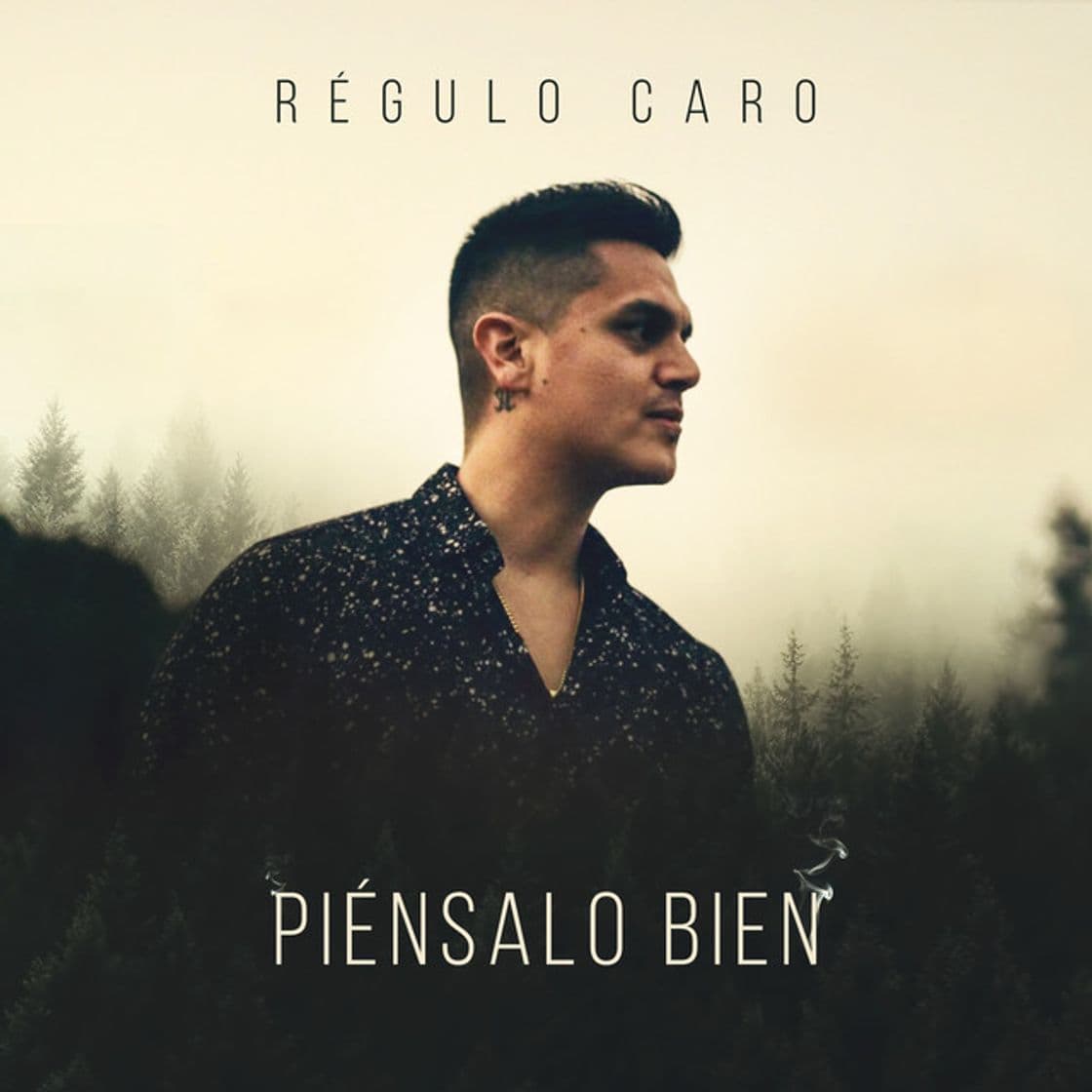 Canción Piénsalo Bien