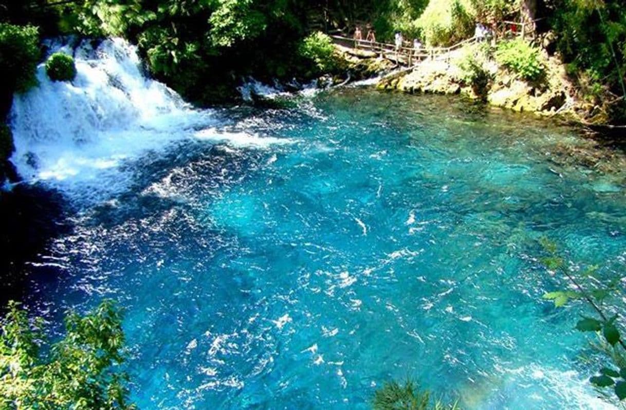 Restaurantes Ojos Del Caburgua