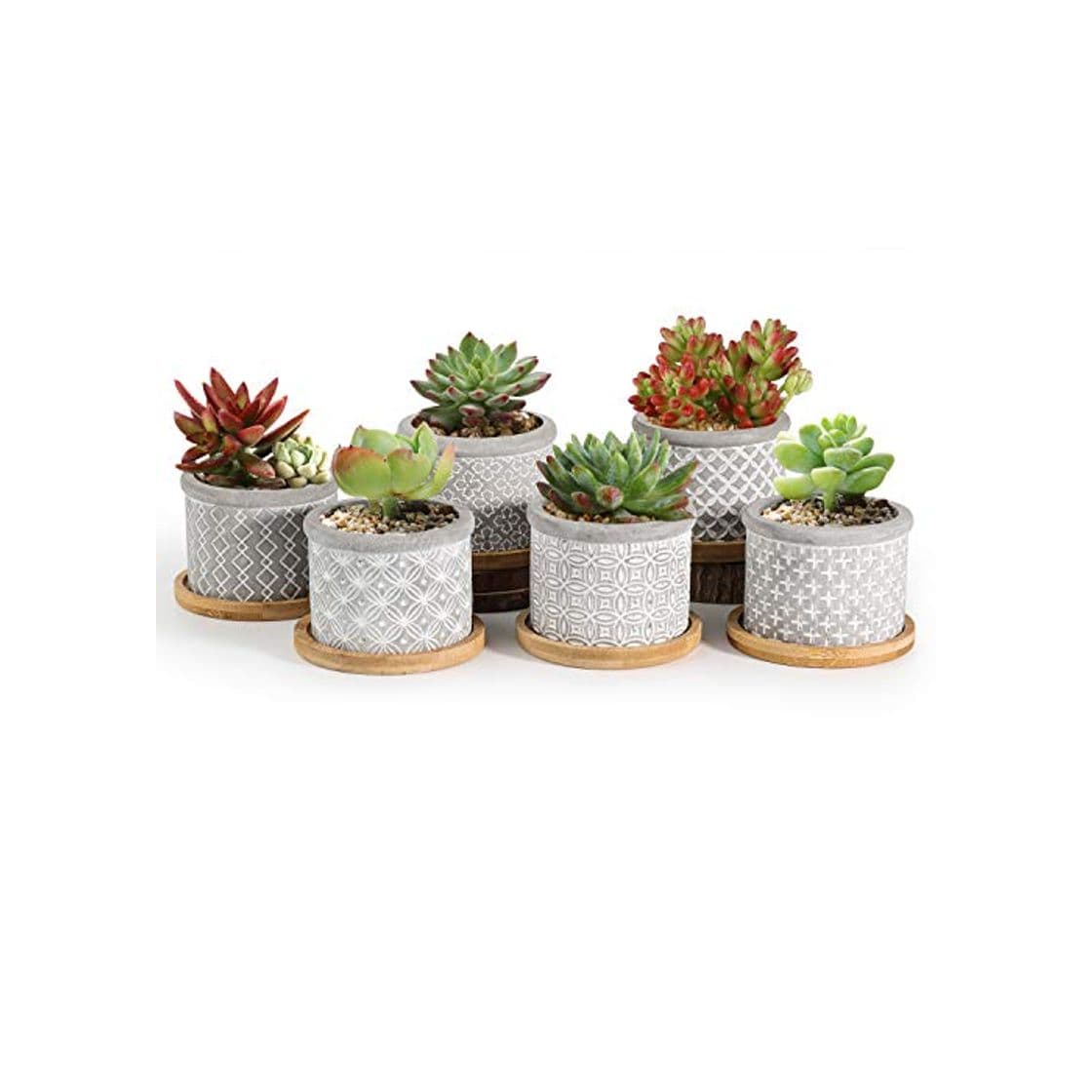 Product T4U 6CM Macetas para Cactus de Cemento con Plato de Bambú Paquete