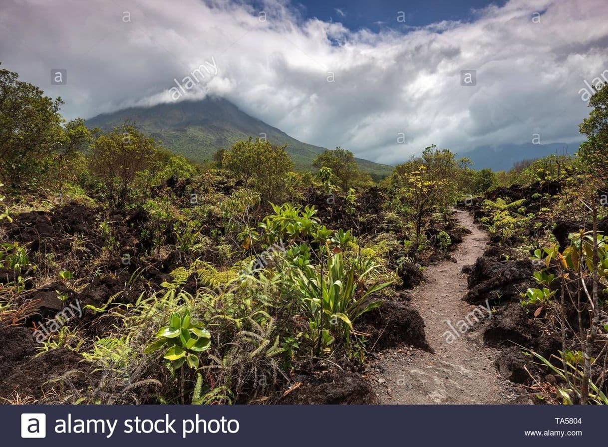 Place Parque Nacional Volcán Arenal