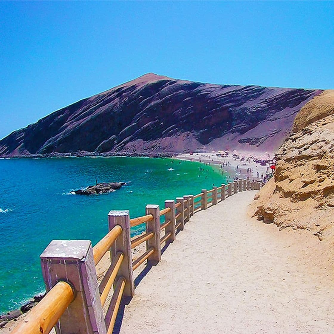 Lugar Playa La Mina Paracas