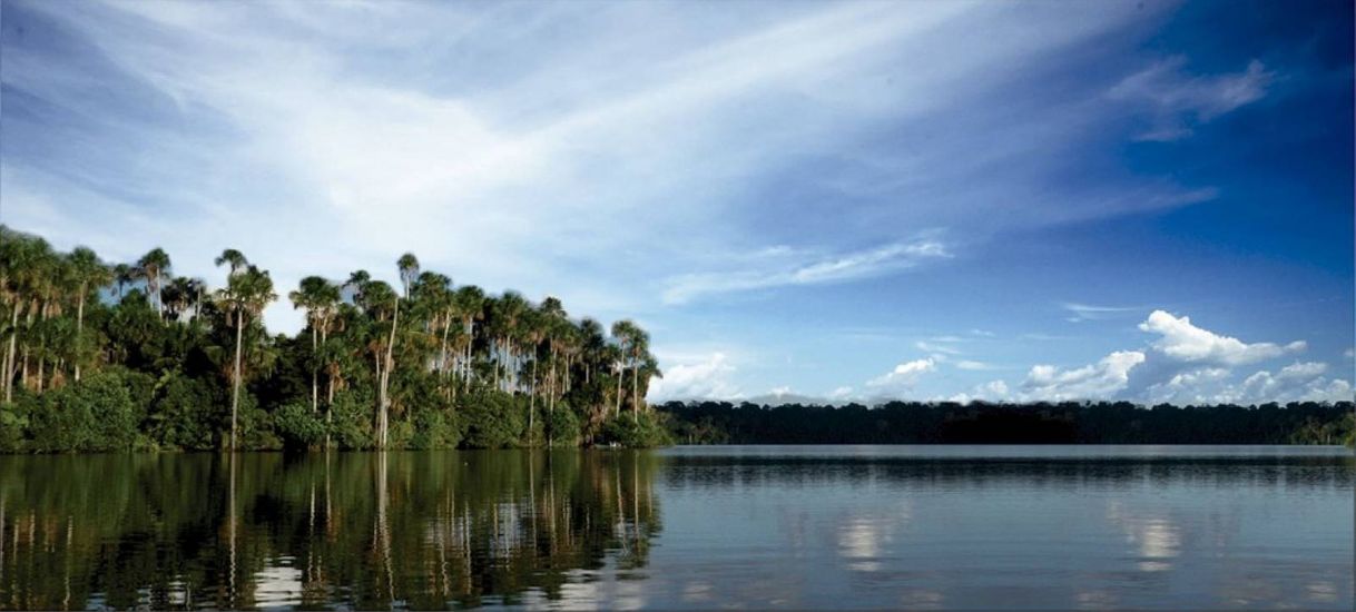 Place Naturaleza y Cultura