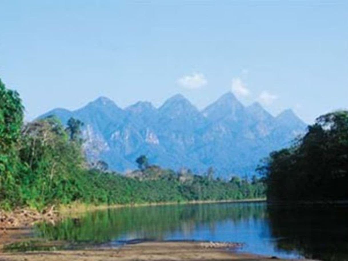 Place Parque nacional Cordillera Azul