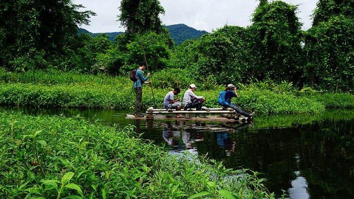 Place Parque Nacional del Manu