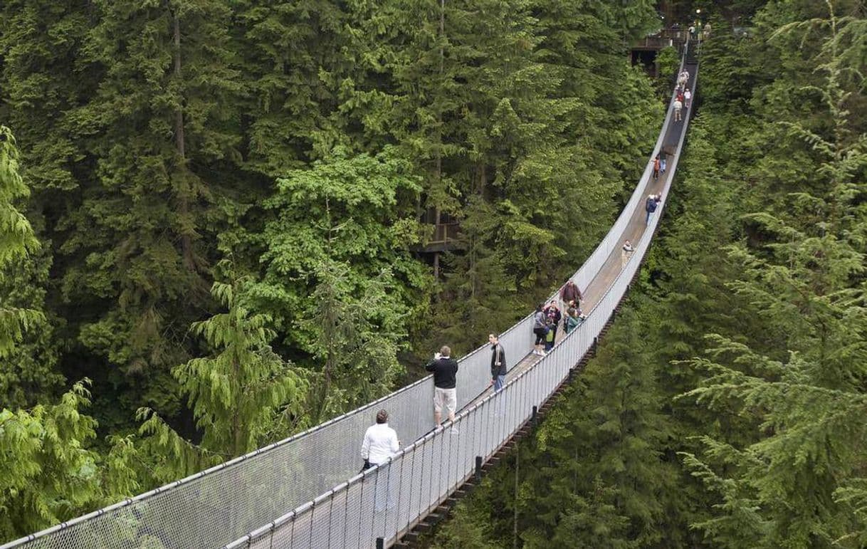 Place Capilano Suspension Bridge