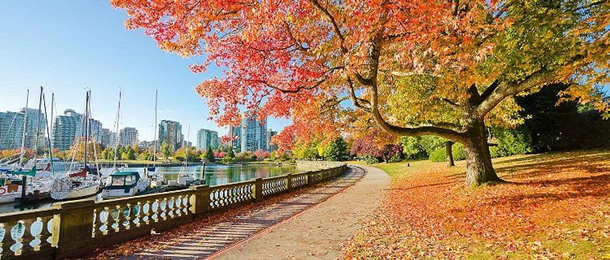 Place Stanley Park