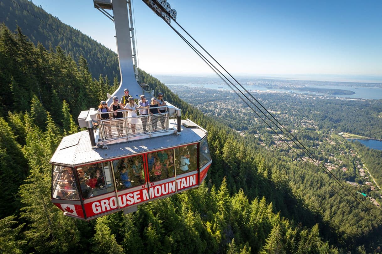 Place Grouse Mountain