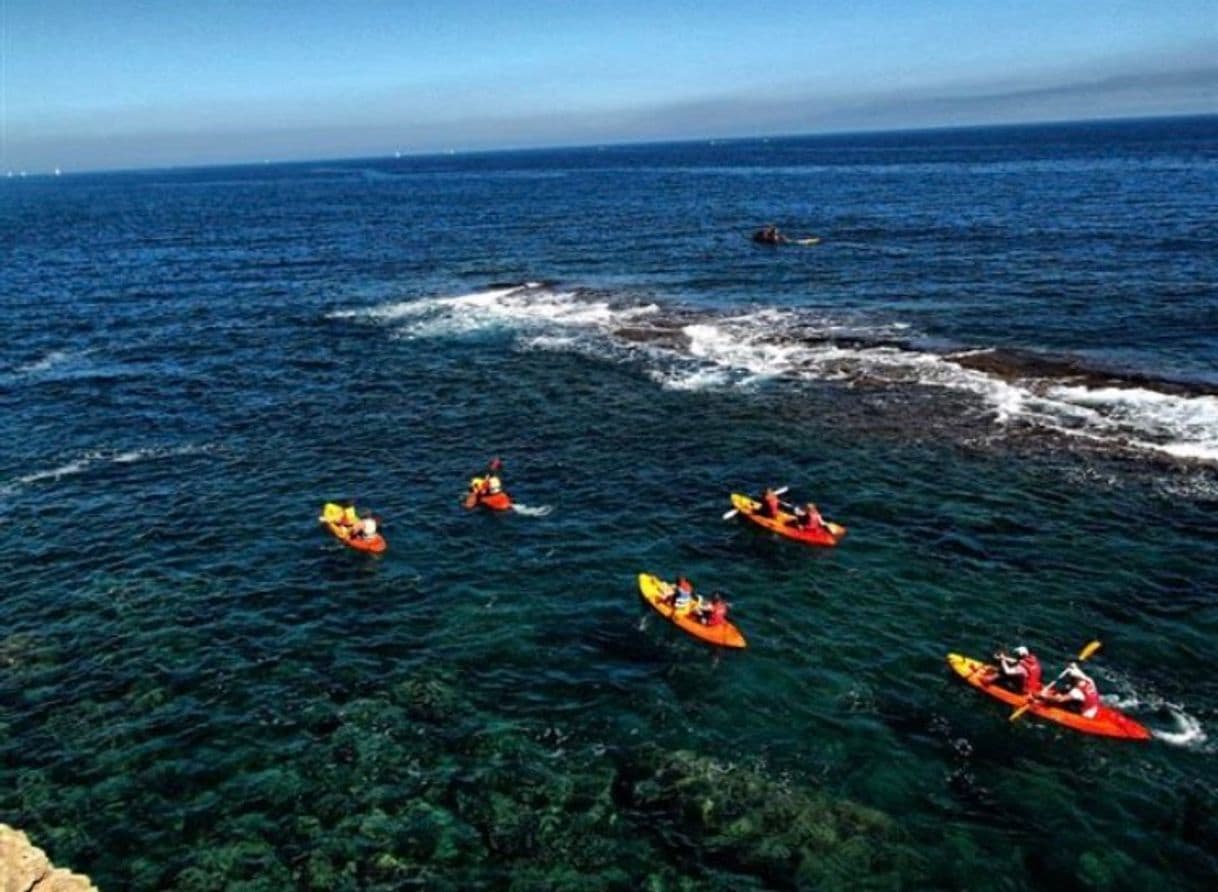 Lugar Fun & Quads Valencia Motos de agua Jetski