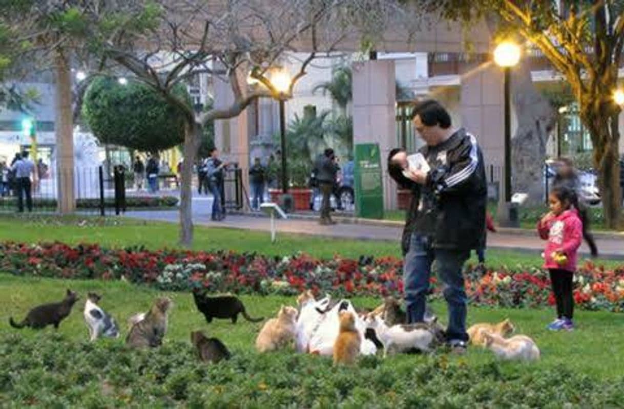 Lugar Parque Kennedy, Miraflores