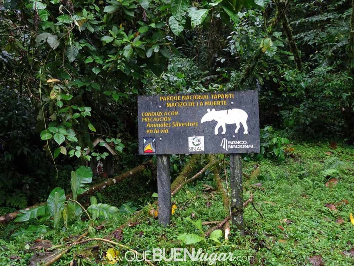 Place Parque Nacional Tapantí