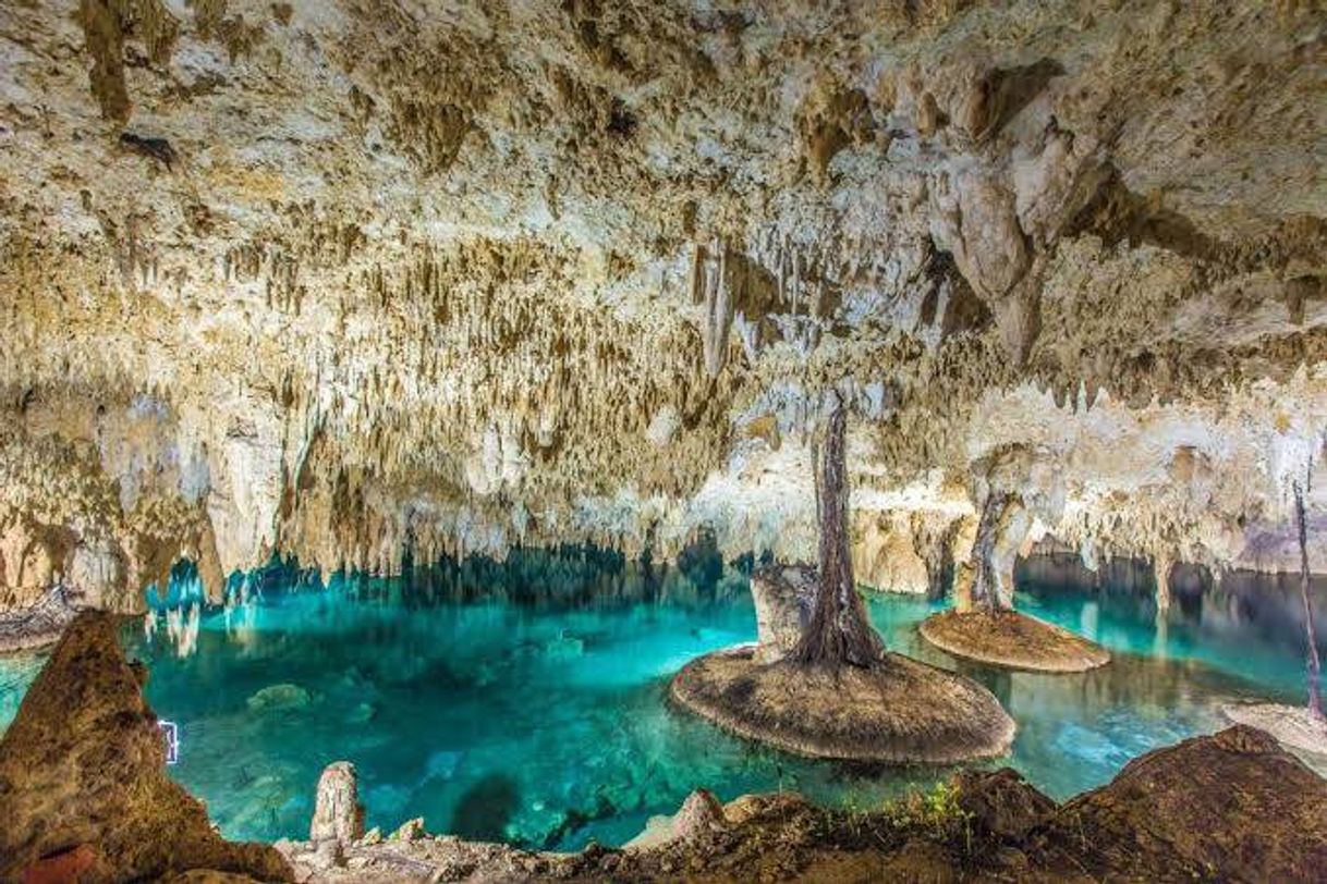 Place Grutas de García