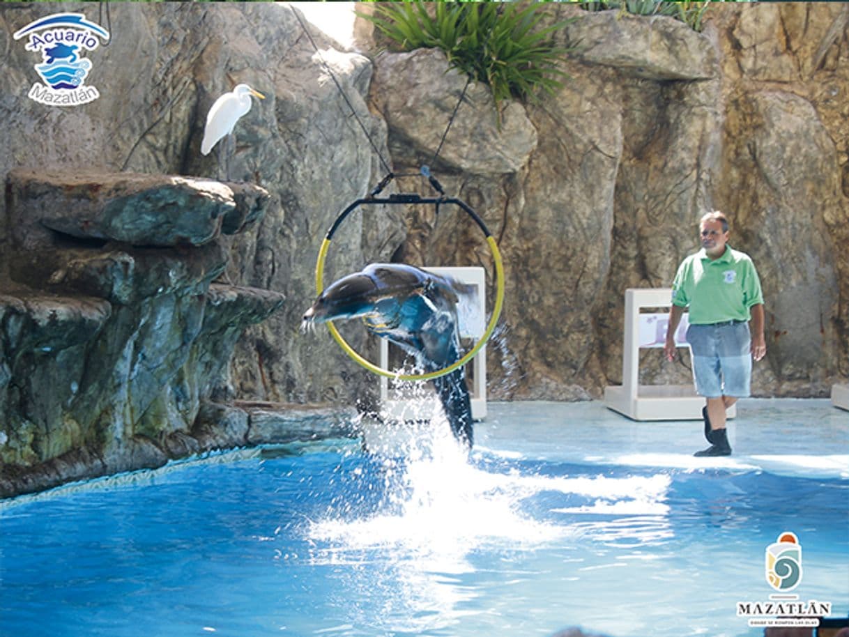 Lugar Acuario Mazatlán