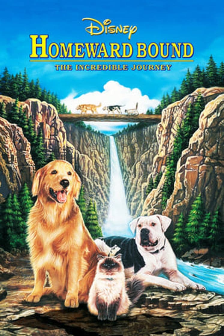 Movie Homeward Bound: The Incredible Journey