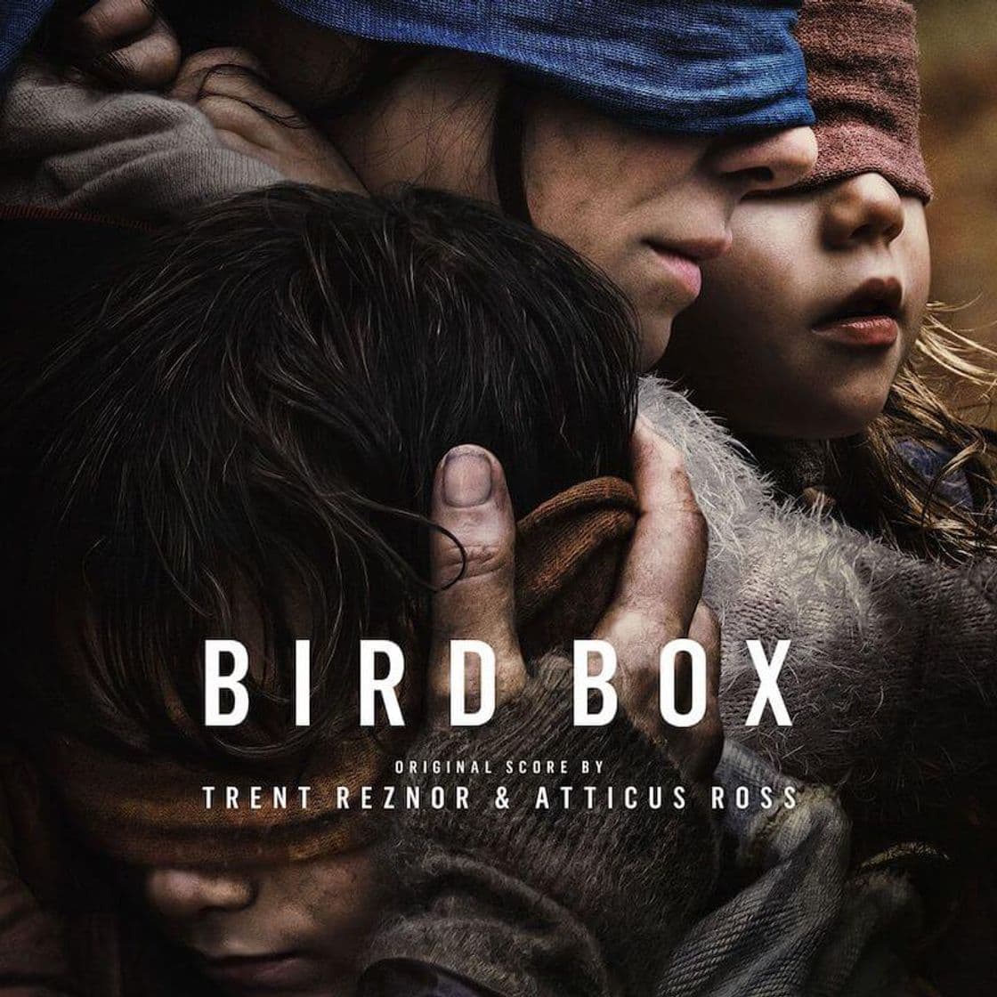 Película Bird Box